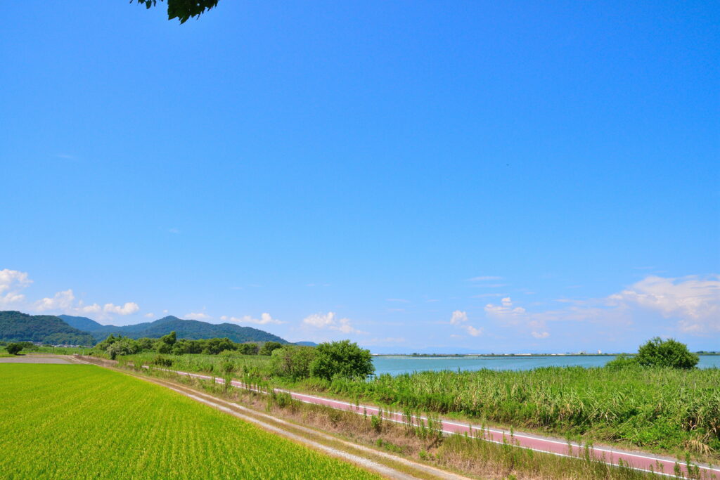よし笛ロードと西の湖