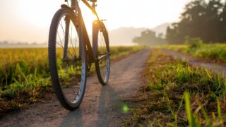 滋賀県近江八幡の湖畔サイクリングコースのイメージ