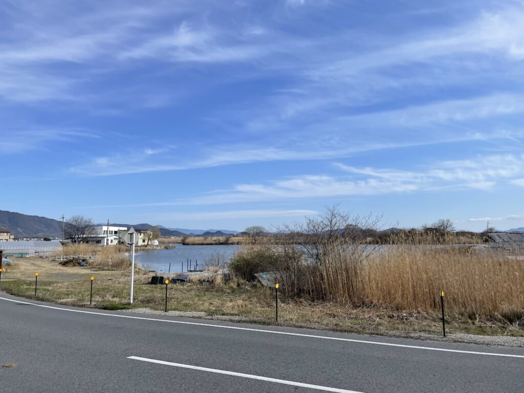 静かな西の湖の風景