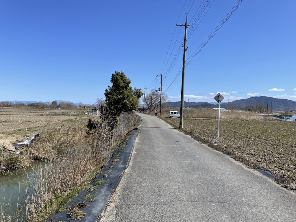 西の湖へ続く道