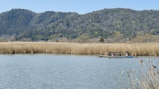 西の湖の水郷めぐりの船