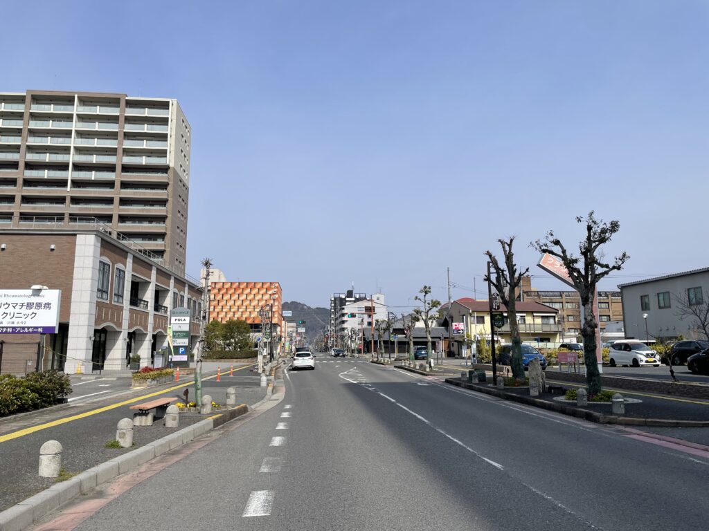 近江八幡駅から見た八幡山